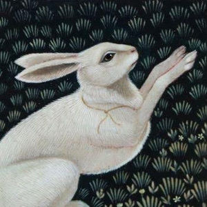 Meet your Posher, Lillyan